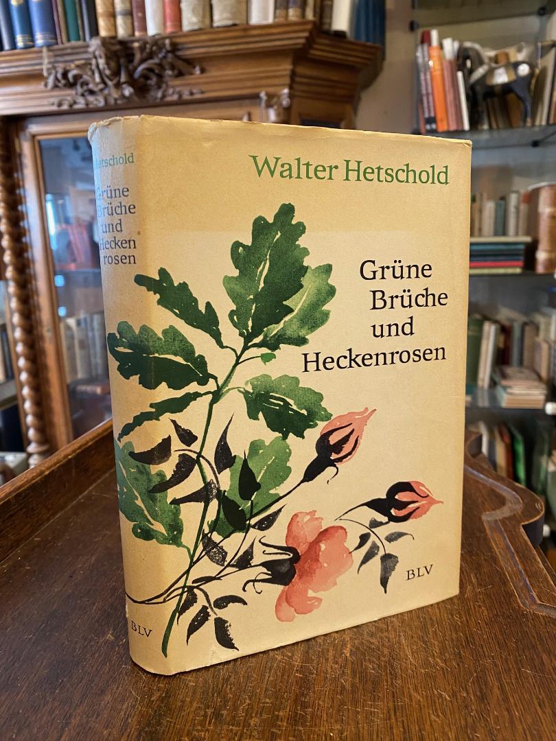 Hetschold, Grüne Brüche und Heckenrosen.