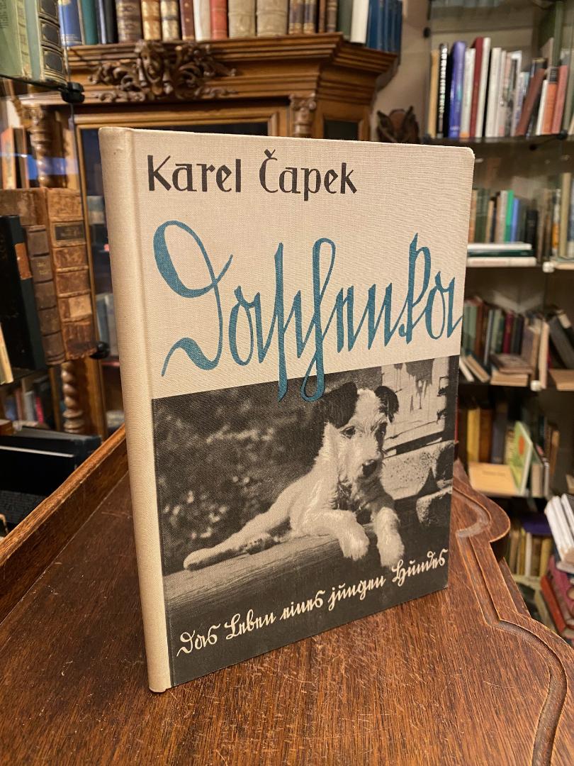 Capek, Daschenka oder Das Leben eines jungen Hundes.