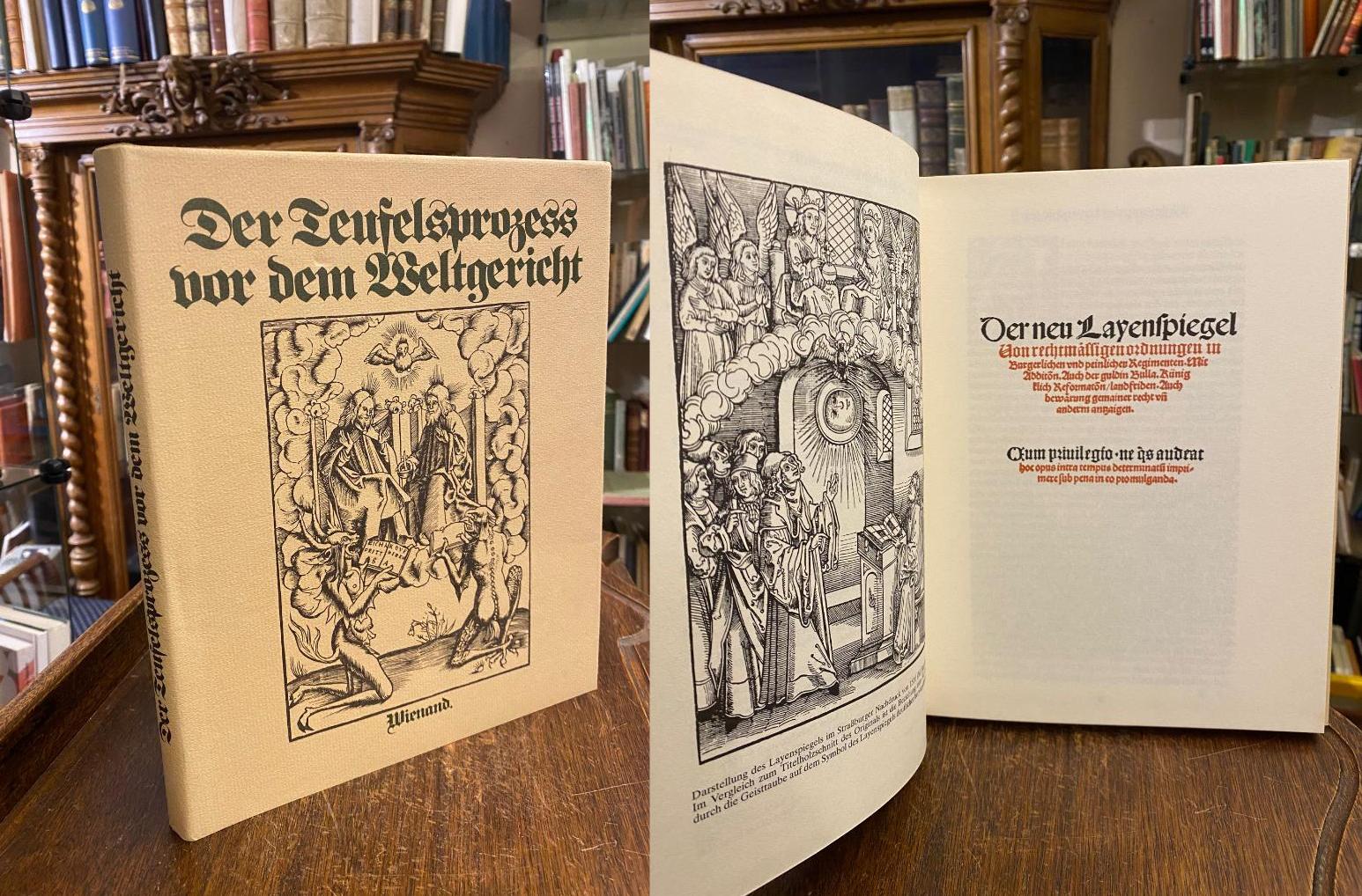 Schmitz, Der Teufelsprozess vor dem Weltgericht : nach Ulrich Tennglers 'Neuer L
