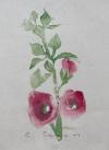 Geyer, 'Rosen' :