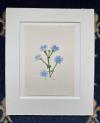 Geyer, 'Kornblumen' :