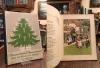 Holst, O Tannenbaum! O Tannenbaum! : Lieder und Märlein in Auswahl.