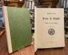 Bodenseevereinsschrift Jg 1886 = Heft 15. - Schriften des Vereins für Geschichte