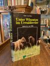 Auer, Unter Wisenten im Urwaldrevier : Vialowice um 1900.
