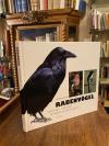 Epple, Rabenvögel : Göttervögel - Galgenvögel : Ein Plädoyer im 'Rabenvogelstrei
